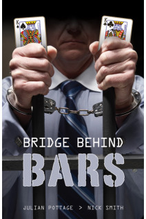 Bridge Behind Bars
