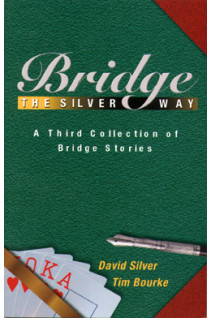 Bridge the Silver Way